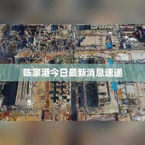 陈家港今日最新消息速递