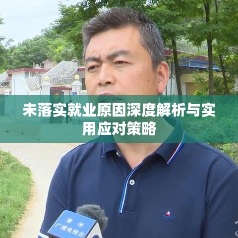 未落实就业原因深度解析与实用应对策略
