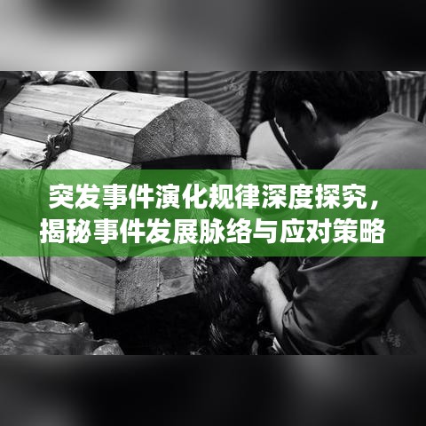小鸟伊人