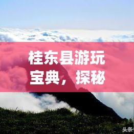 桂东县游玩宝典，探秘美景，尽享独特风情！