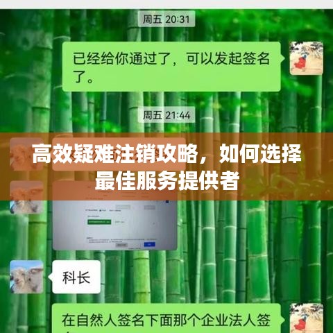 高效疑难注销攻略，如何选择最佳服务提供者