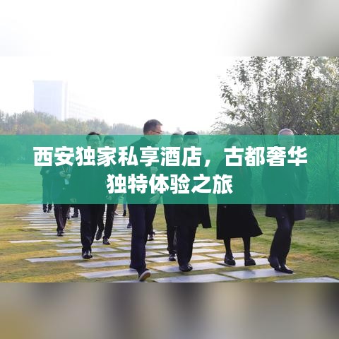 矫枉过正