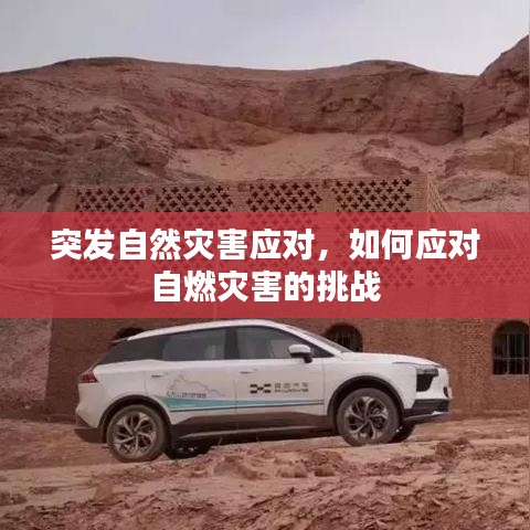 突发自然灾害应对，如何应对自燃灾害的挑战