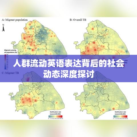 人群流动英语表达背后的社会动态深度探讨