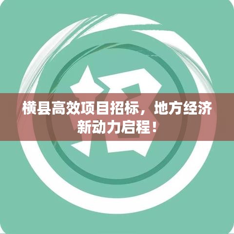 横县高效项目招标，地方经济新动力启程！