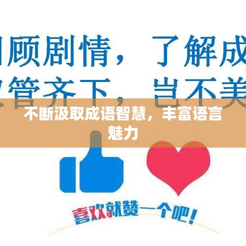 不断汲取成语智慧，丰富语言魅力