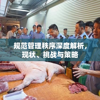 规范管理秩序深度解析，现状、挑战与策略