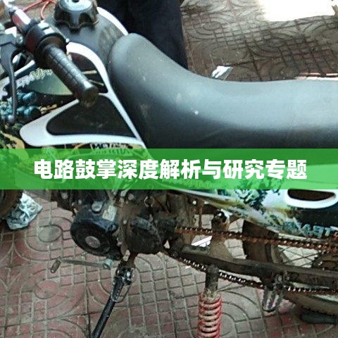 电路鼓掌深度解析与研究专题