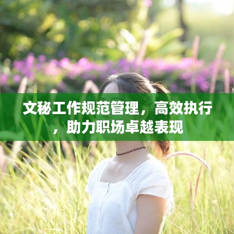 文秘工作规范管理，高效执行，助力职场卓越表现