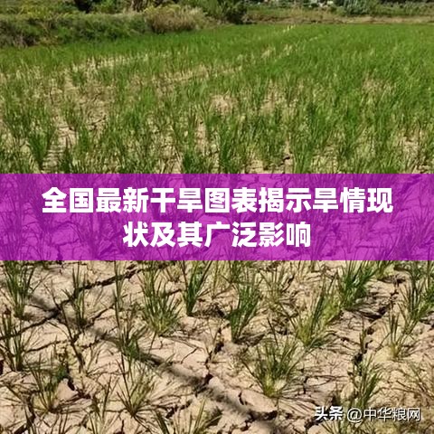 船挖出租 第4页