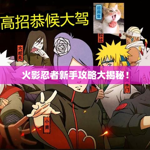 火影忍者新手攻略大揭秘！