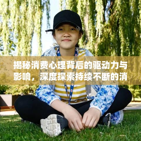 揭秘消费心理背后的驱动力与影响，深度探索持续不断的消费欲望