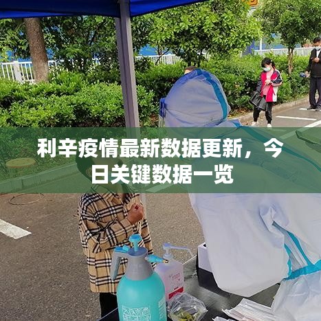 利辛疫情最新数据更新，今日关键数据一览