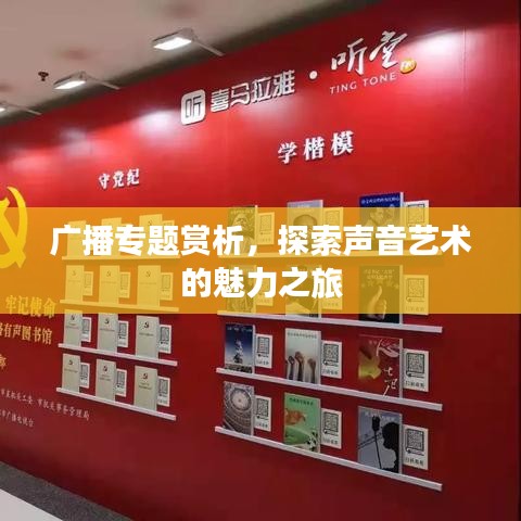 广播专题赏析，探索声音艺术的魅力之旅