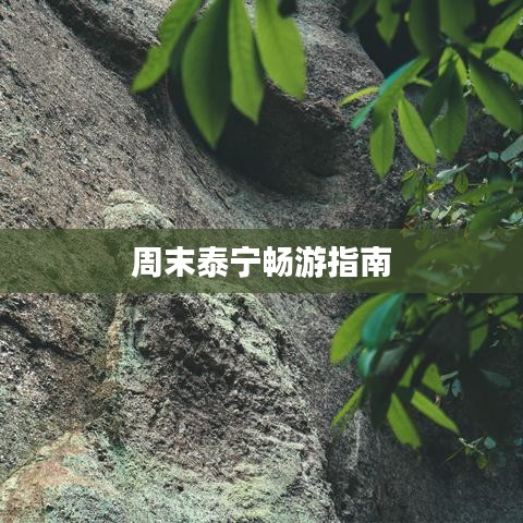 周末泰宁畅游指南