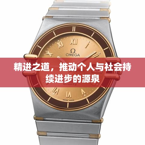 精进之道，推动个人与社会持续进步的源泉