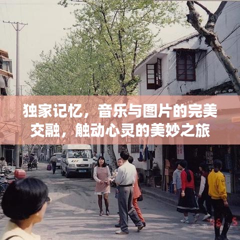 独家记忆，音乐与图片的完美交融，触动心灵的美妙之旅