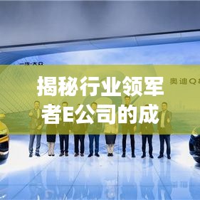 揭秘行业领军者E公司的成功秘诀与排名背后的奥秘！