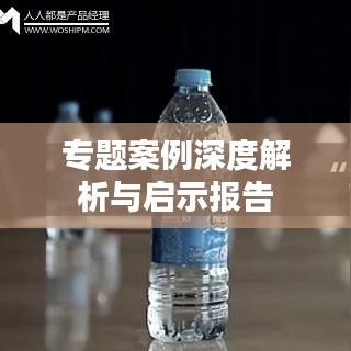 专题案例深度解析与启示报告