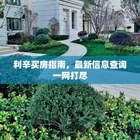 利辛买房指南，最新信息查询一网打尽