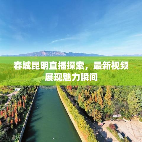 春城昆明直播探索，最新视频展现魅力瞬间