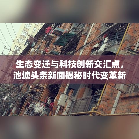 清淤挖机出租 第3页