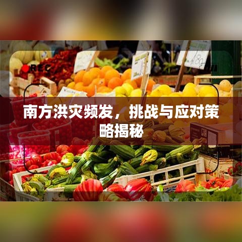 南方洪灾频发，挑战与应对策略揭秘
