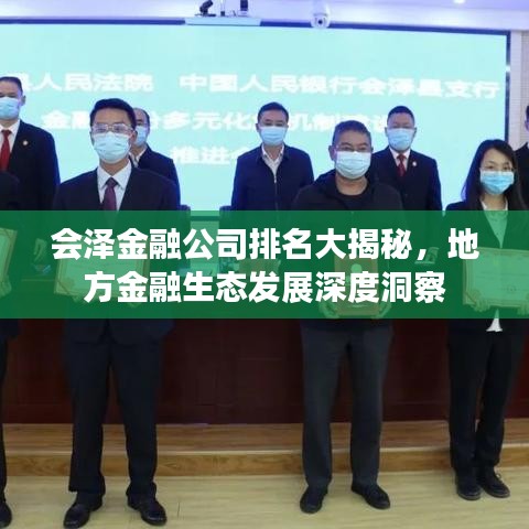 会泽金融公司排名大揭秘，地方金融生态发展深度洞察