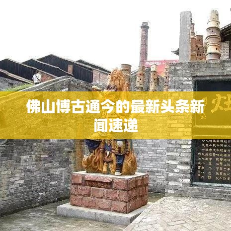 佛山博古通今的最新头条新闻速递
