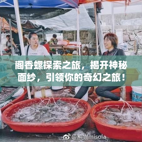 阁香螺探索之旅，揭开神秘面纱，引领你的奇幻之旅！