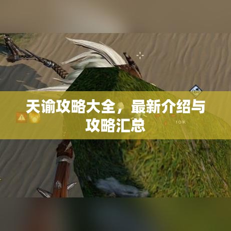 天谕攻略大全，最新介绍与攻略汇总