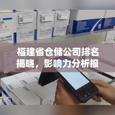 福建省仓储公司排名揭晓，影响力分析报告