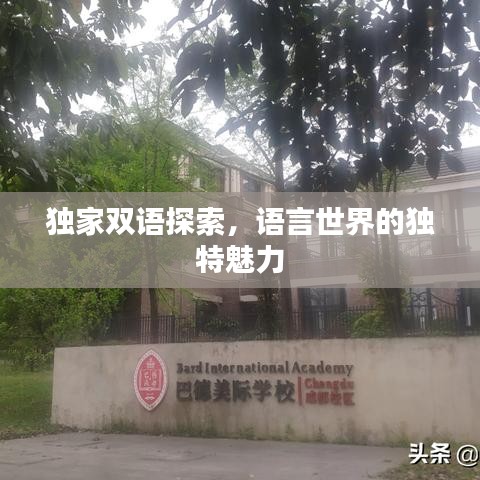 独家双语探索，语言世界的独特魅力