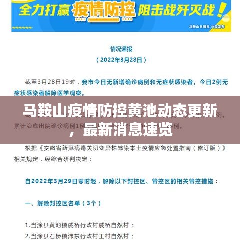 船挖出租 第2页