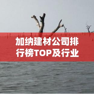 加纳建材公司排行榜TOP及行业影响力解析