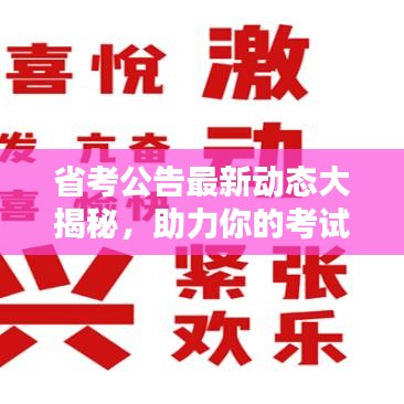 省考公告最新动态大揭秘，助力你的考试之路！