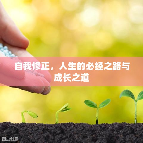 自我修正，人生的必经之路与成长之道