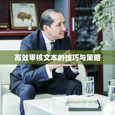 高效审核文本的技巧与策略