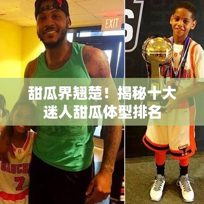 甜瓜界翘楚！揭秘十大迷人甜瓜体型排名