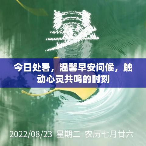 今日处暑，温馨早安问候，触动心灵共鸣的时刻