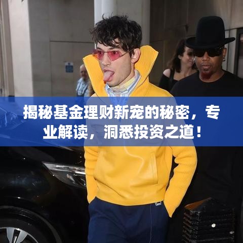 揭秘基金理财新宠的秘密，专业解读，洞悉投资之道！