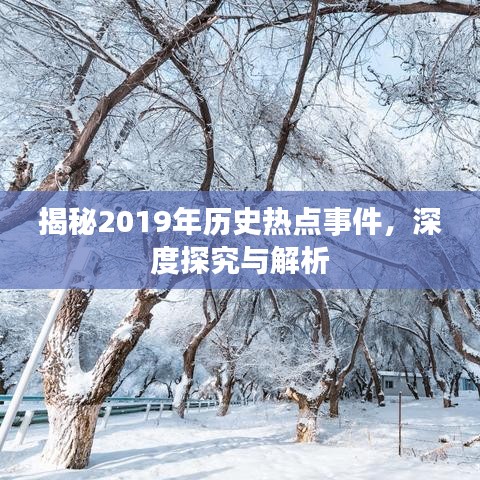揭秘2019年历史热点事件，深度探究与解析