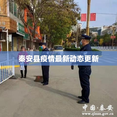 秦安县疫情最新动态更新