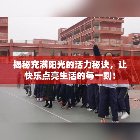 揭秘充满阳光的活力秘诀，让快乐点亮生活的每一刻！