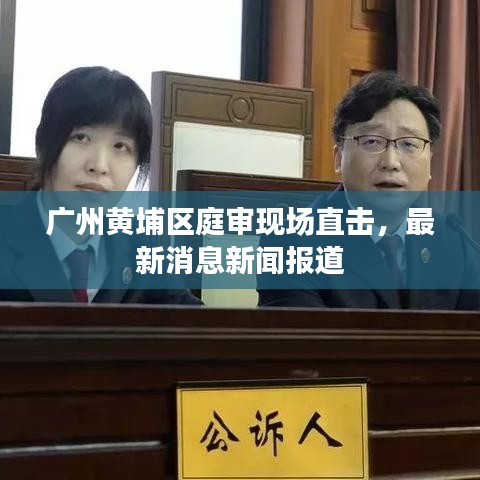 广州黄埔区庭审现场直击，最新消息新闻报道