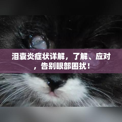 泪囊炎症状详解，了解、应对，告别眼部困扰！