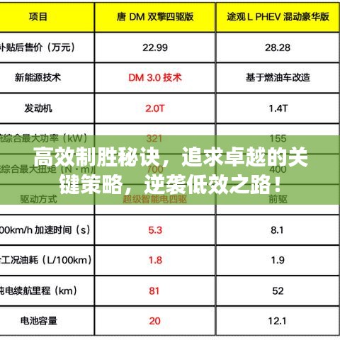 高效制胜秘诀，追求卓越的关键策略，逆袭低效之路！