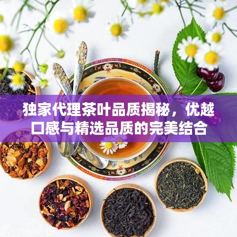独家代理茶叶品质揭秘，优越口感与精选品质的完美结合