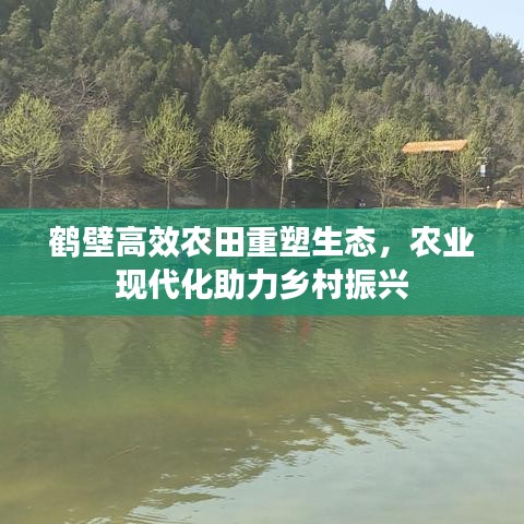 鹤壁高效农田重塑生态，农业现代化助力乡村振兴