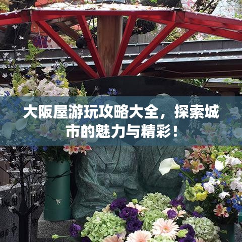 大阪屋游玩攻略大全，探索城市的魅力与精彩！